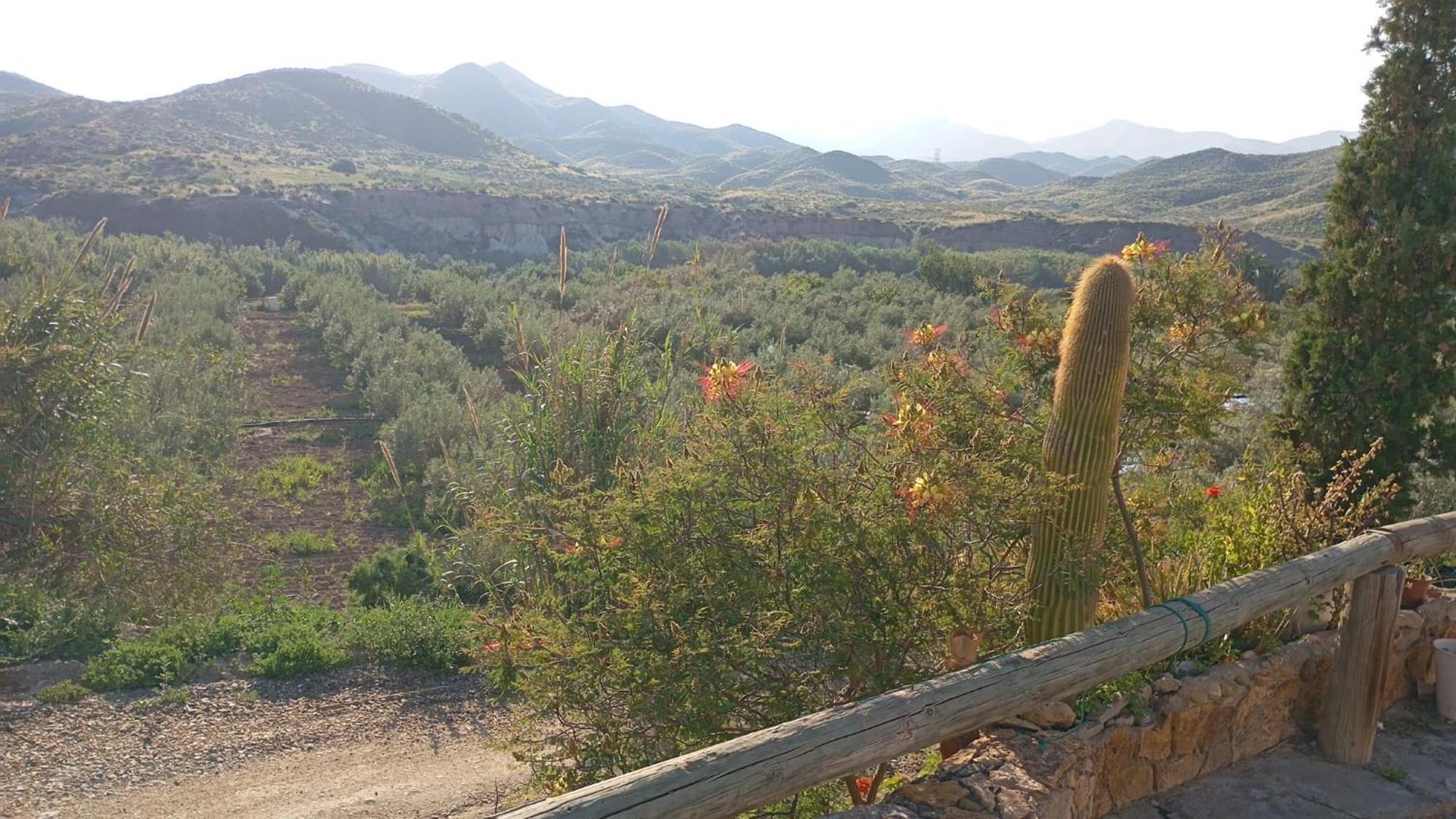 Cortijo Rural Molino El Tarahal Con Piscina Y Zonas Compartidas エクステリア 写真